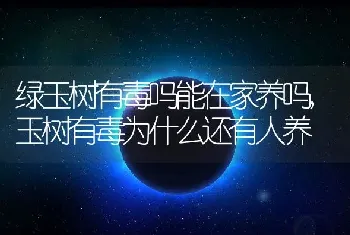 绿玉树有毒吗能在家养吗