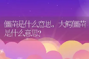 大鳄僵苗是什么意思