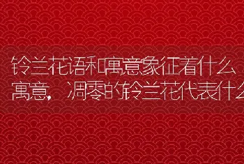 铃兰花语和寓意象征着什么寓意