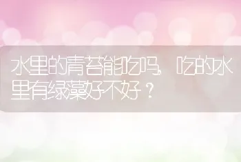 吃的水里有绿藻好不好