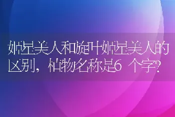 植物名称是6个字