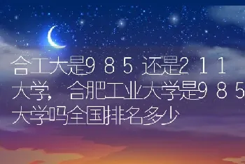 合工大是985还是211大学