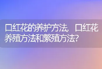 口红花养殖方法和繁殖方法