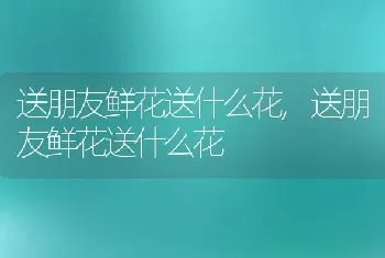 送朋友鲜花送什么花