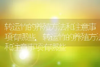 转运竹的养殖方法和注意事项有哪些