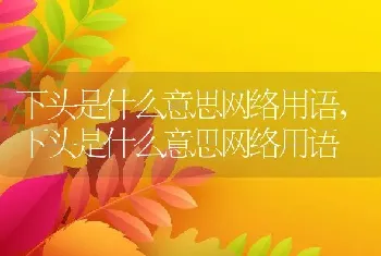 下头是什么意思网络用语