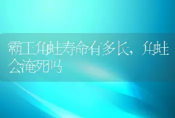 霸王角蛙寿命有多长