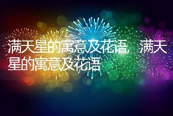 满天星的寓意及花语