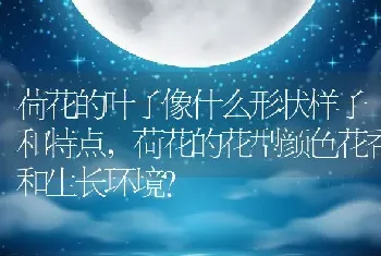 绿萝什么时候浇一次水一天中那个时辰浇比较好？