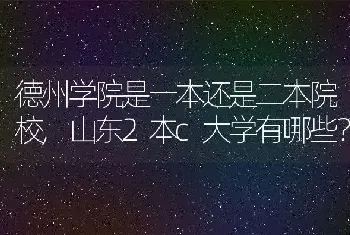 山东2本c大学有哪些