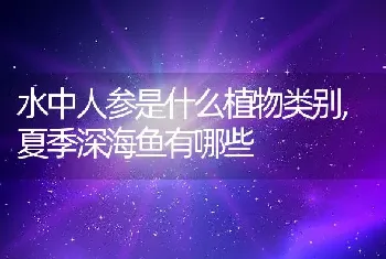 水中人参是什么植物类别