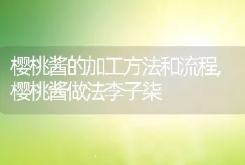 五指毛桃树结的果子能吃吗