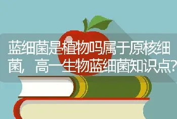 高一生物蓝细菌知识点