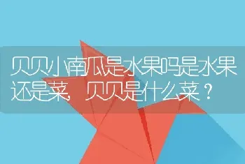 贝贝是什么菜