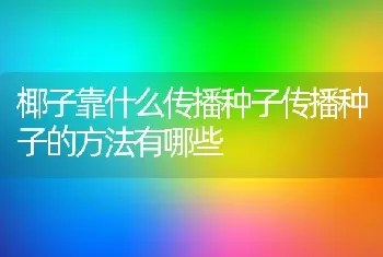 椰子靠什么传播种子传播种子的方法有哪些