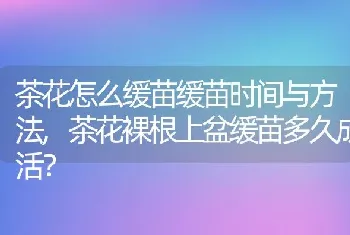 福建师范大学双学位社会认可吗