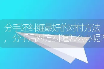 分手后对方纠缠怎么办呢