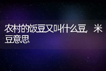 鸟巢蕨的水培养殖方法