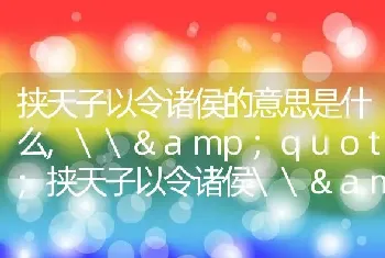 挟天子以令诸侯什么意思