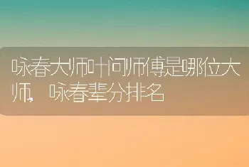 咏春大师叶问师傅是哪位大师