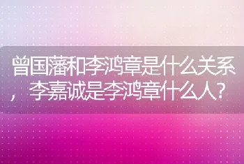 李嘉诚是李鸿章什么人