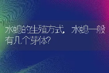 水螅一般有几个芽体