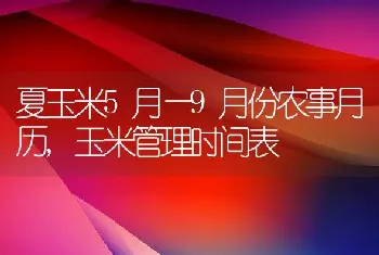 夏玉米5月—9月份农事月历