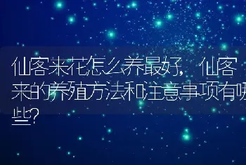 仙客来的养殖方法和注意事项有哪些