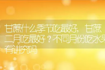 柚子树长什么样