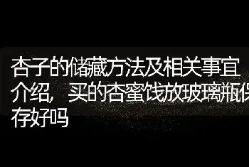 杏子的储藏方法及相关事宜介绍