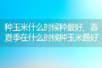 种玉米什么时候种最好