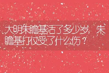 朱瞻基打仗受了什么伤