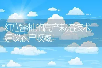 红心蜜柚的高产栽培技术