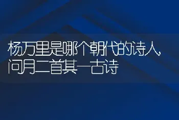 杨万里是哪个朝代的诗人