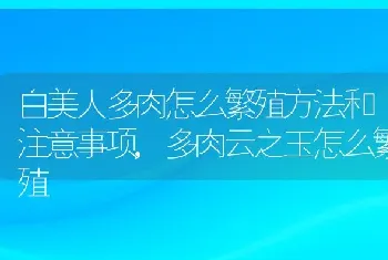 白美人多肉怎么繁殖方法和注意事项