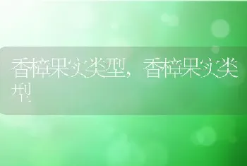 绿萝发黄的原因和解决方法