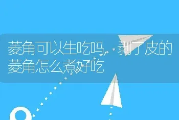 山西大同几月采摘沙棘最好