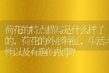 生活习性以及有趣的故事