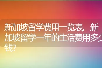 新加坡留学一年的生活费用多少钱