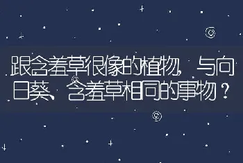 与向日葵、含羞草相同的事物