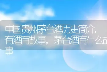 中国贵州茅台酒历史简介