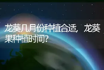 龙葵果种植时间