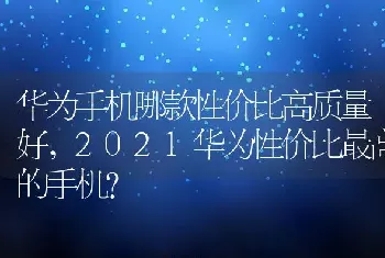 2021华为性价比最高的手机