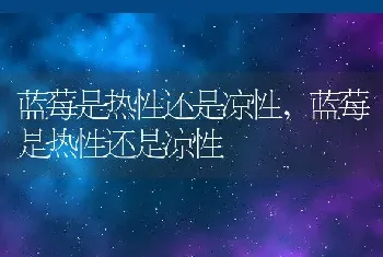 蓝莓是热性还是凉性