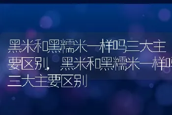 黑米和黑糯米一样吗三大主要区别