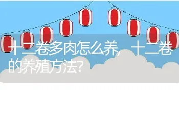 十二卷的养殖方法