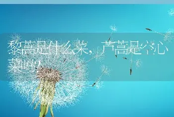 芦蒿是空心菜吗