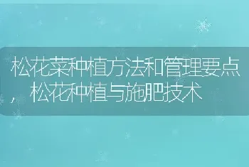 人们通常用来送花的“蓝色妖姬”其实是什么花