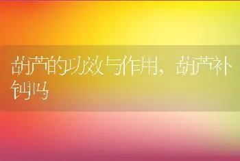 葫芦的功效与作用