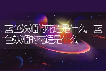 蓝色妖姬的花语是什么